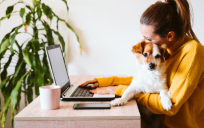 How to successfully manage a remote team