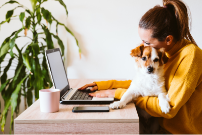 How to successfully manage a remote team