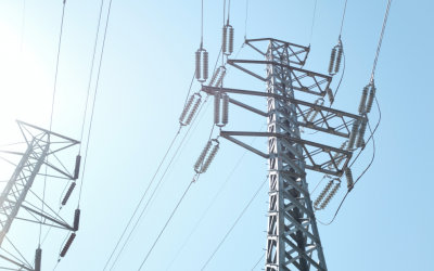 Introducing the Next Business Energy Price Promise