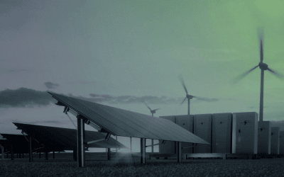 Introducing Next Green Group