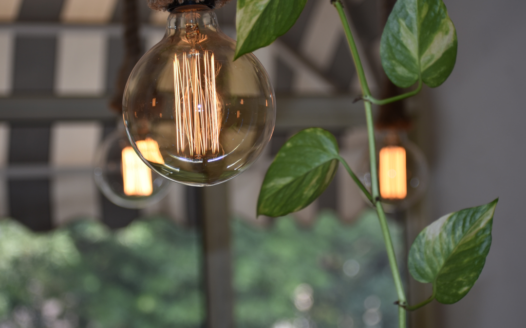 Investing in Energy Efficient Equipment