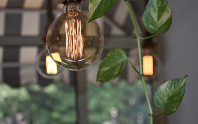 Investing in Energy Efficient Equipment