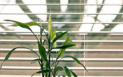 Going Green in the Office: How to reduce your carbon footprint and save money