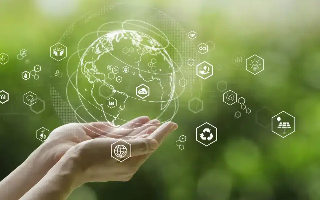 Green not yet mainstream for many businesses 