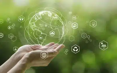 Green not yet mainstream for many businesses 