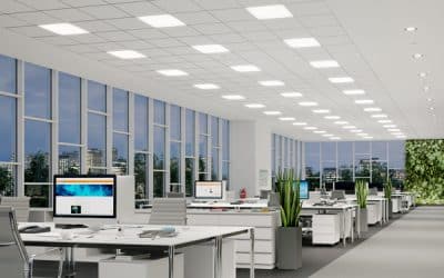 Energy Myths Busted: What Businesses Need to Know