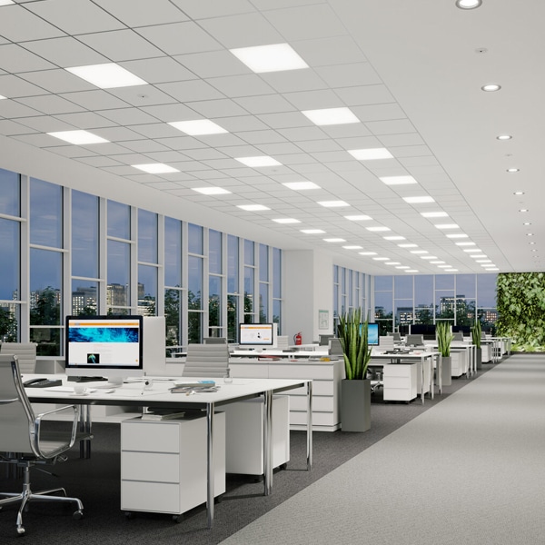 Energy Myths Busted: What Businesses Need to Know